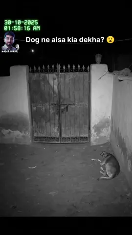 Dog ne aisa kia dekha? 😮 #cctv #cctvcamera #cctvvideos #cctvfootages #nightvibes 