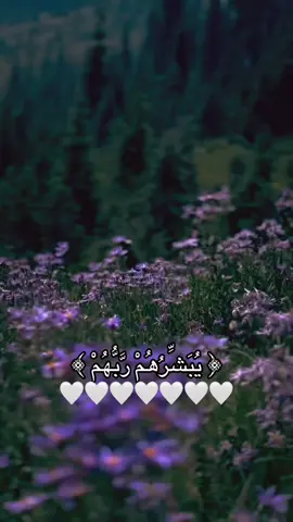 #الحمدالله_علی_کل_حال❤ #قران_كريم #fyp #iraq #edit 