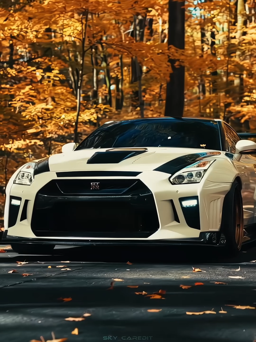 stututu 🔥🔥 |🎥:@timmytran #nissan #gtr #r35 #skyline #carsedit 