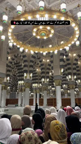 #fypシ゚viral🖤tiktok #fypシ゚viral🖤tiktok #fypシ゚viral🖤tiktok #fypシ゚viral🖤tiktok #fypシ゚viral🖤tiktok 