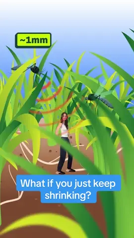 What if you just kept shrinking? By the time you’re smaller than an ant, you could safely jump off a chair – air resistance lets you glide down. But bad news, your voice is so high that no human can hear you anymore! Plus, insects are monsters! Now, smaller, cells are huge next to you! Going smaller, now you’re being bombarded by air molecules You go inside an atom and you find, there’s a surprising amount of empty space here. If you go small enough and somehow keep the same mass… whoops, sorry… If you believe there should be more fun, optimistic science and tech stories, follow along! #shorts #shrinking #Science #smaller #quantum