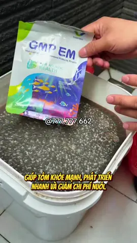 Công thức chuẩn ủ men EM GỐC + CÁM GẠO #TRUMVISINH #nuôitôm #EMGOC #cámgạo #MenViSinhChấtLượng 
