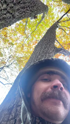 I’ve never felt more disrespected 😂#deerhunting #squirrel #whitetaildeer #bowhunting #chasintroot 