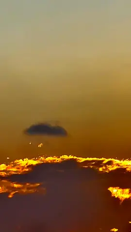 #القارىء_محمد_الفقيه_ سورة_الحَشْر