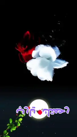 #رحمتك_يارب 