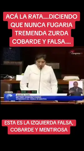 #alianzalimacorazon #universitariodedeportes #peruanosenelextranjero #pnp #pedrocastillo 