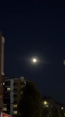Yarın, yani 05.11.2025’in en parlak ve en büyük dolunayı 🌓🌕  Yarın birlikte izlemek istediğin arkadaşına gönder 🌓🍁