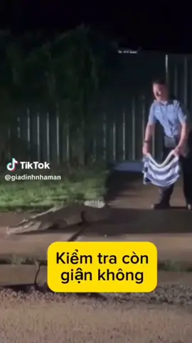 học cách thử vợ xem còn giận không. hú hồn#xuhuongtiktok 