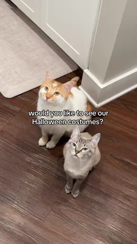 Everyone better be nice to them😤