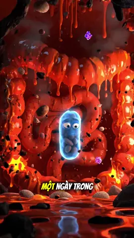 Điều gì xảy ra trong ruột bạn sau 1 ngày ăn buffe lẩu nướng!!! #menvisinh #livespo #buffe #LearnOnTikTok #khoahocvui 