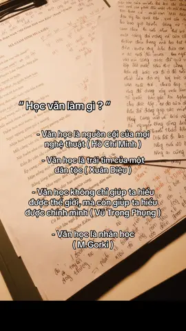 học văn để làm gì? #donv1🍀 #cuoicap #hocnuahocmai #vanhocvietnam #xh 