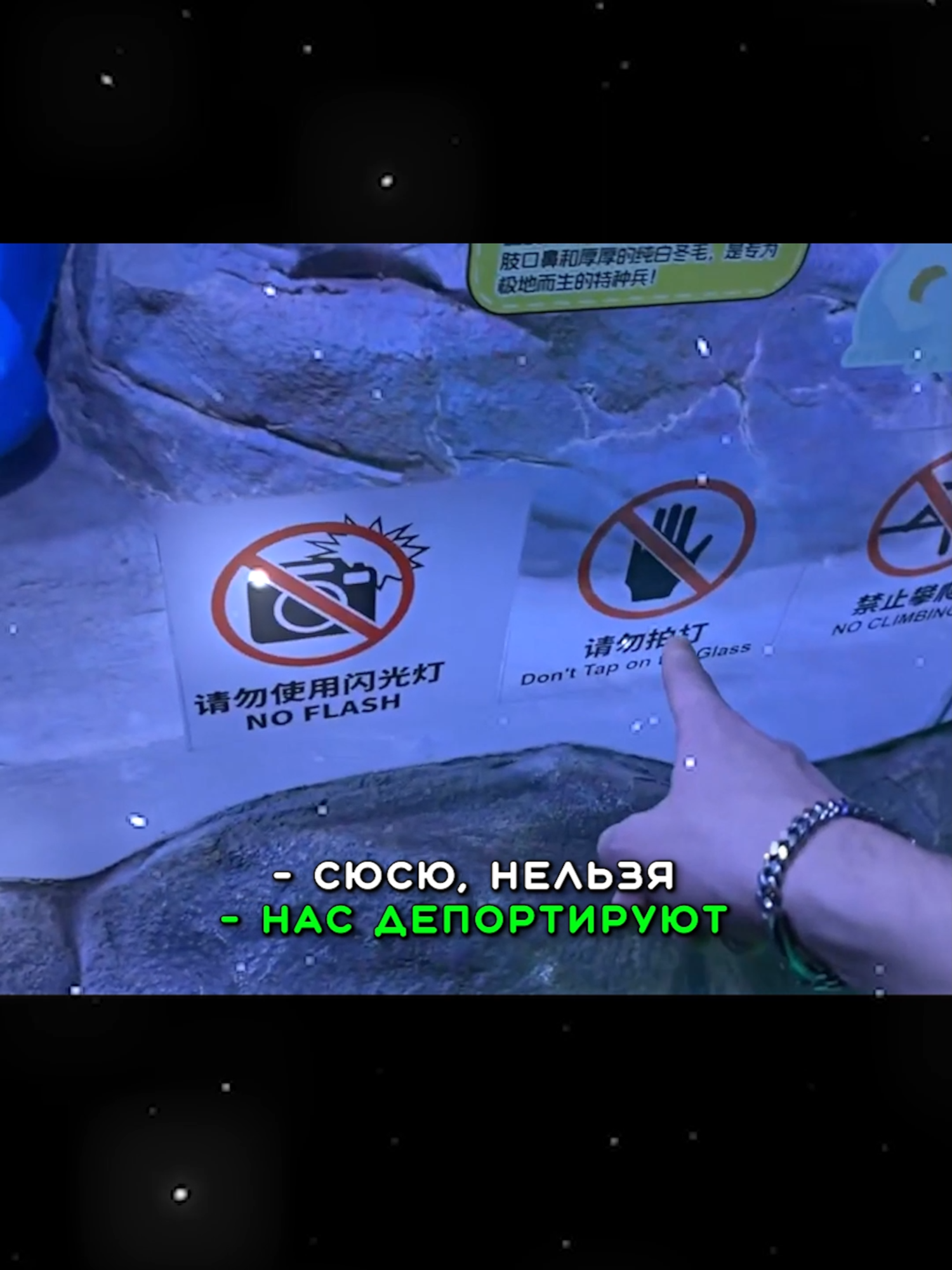 twitch: enzzai #enzzai