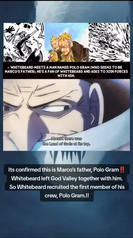 Marco's Dad is called Polo Gram‼️ #ONEPIECE1165  #onepiece #marcoonepiece #godvalley #pologram 