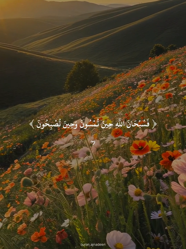 (فسبحان الله حين تمسون وحين تصبحون) #ياسر_الدوسري #قران_كريم #قران #quran_alkarim #quran 