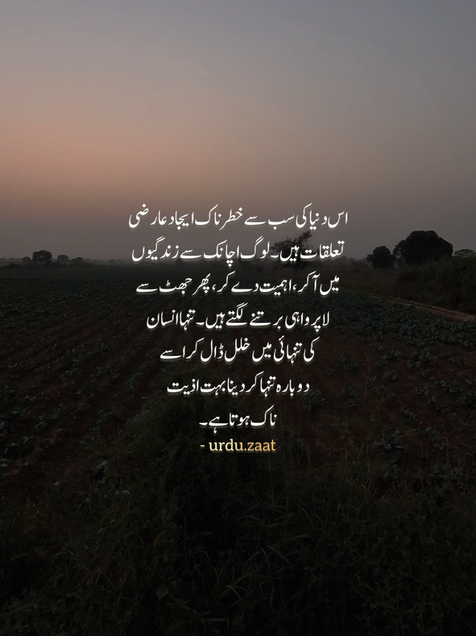 Tanha insan ki tanhai mein hallal daal kar usay dobara se tanha kar dena bohat aziyat naak hota hai. #fyp #foryou #urduquotes #urduzaat #emotionalquotes 