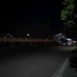 بين قلوبنا رسول بالمحبه ينادي ✨♥..  كلمات الأغنية 🌍🥹..  .  #اكسبلورexplore #fyp #vrail #اليسا #رومانسيه 