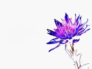 #speedsong #speedupsongs #nightcore #lyrics #fyp  @speed songs | lyrics 