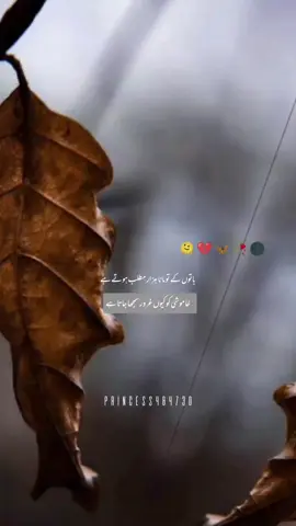 #viral #foryoupage #foryoupageofficial 