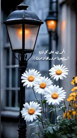 #oops_alhamdulelah .. #اقتباسات_خواطر_عبارات #ميما🇸🇦  #اكسبلورexplore 