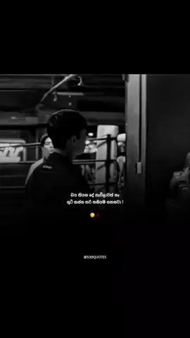 #whatsappstatus #sinhalaquotes #status #quotes  #foryoupage #foryou #fyp