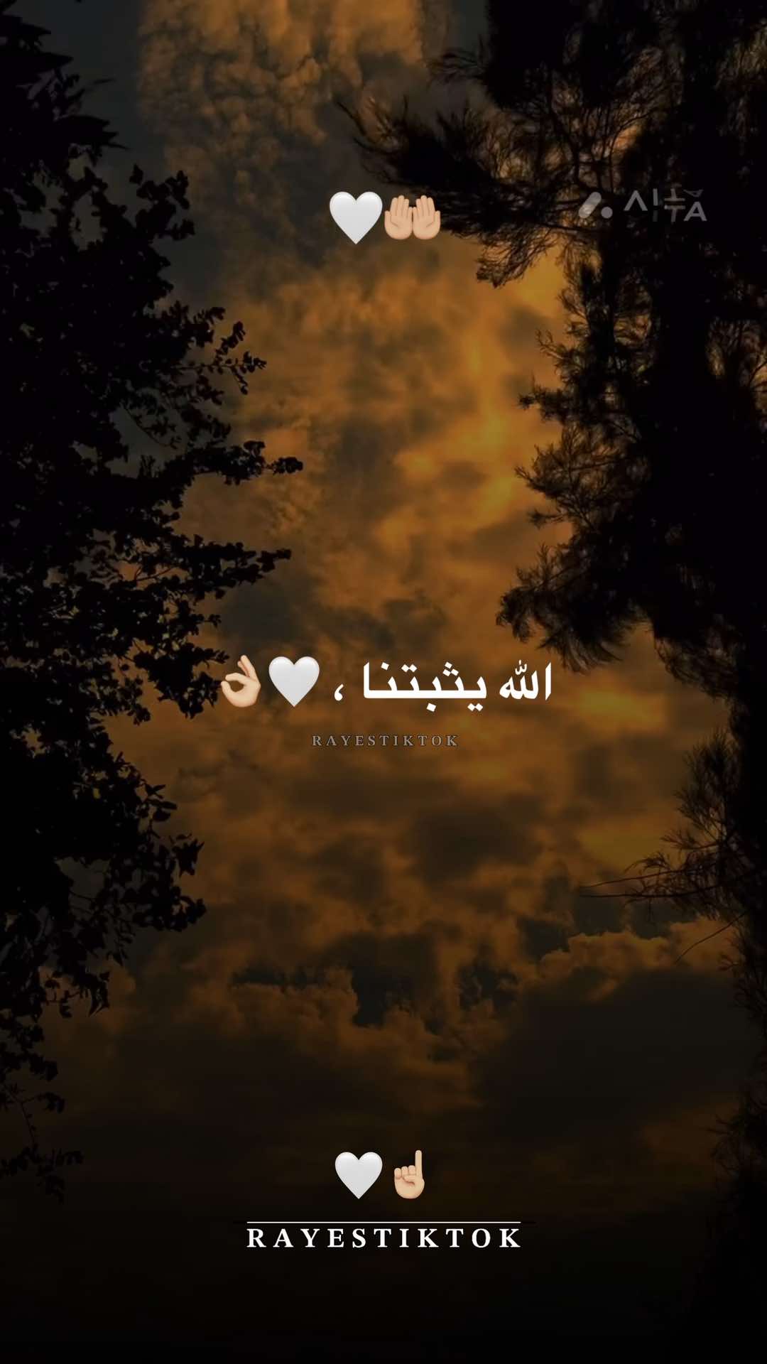 #اللهم_صلي_على_نبينا_محمد #motivation #fouryoupage #fyppppppppppppppppppppppp #fypシ゚ 