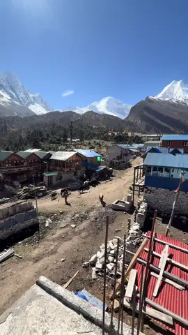 The cruelty towards cattle made me sad,but the mountains made me again happy 😊 #loveforanimals #happysadconfused #fyp #trekking 