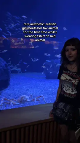 crabs are so beautiful this was the best day ever omg :D #08 #alt #fyp #japanesespidercrab #crabenthusiast 