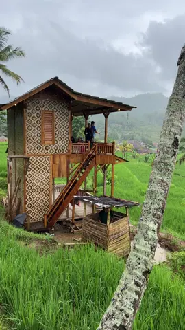 Hujan di saung sawah 