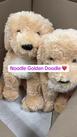 Noodle the golden doodle #toys #fidget #fidgets #toyman #douglasdogs 