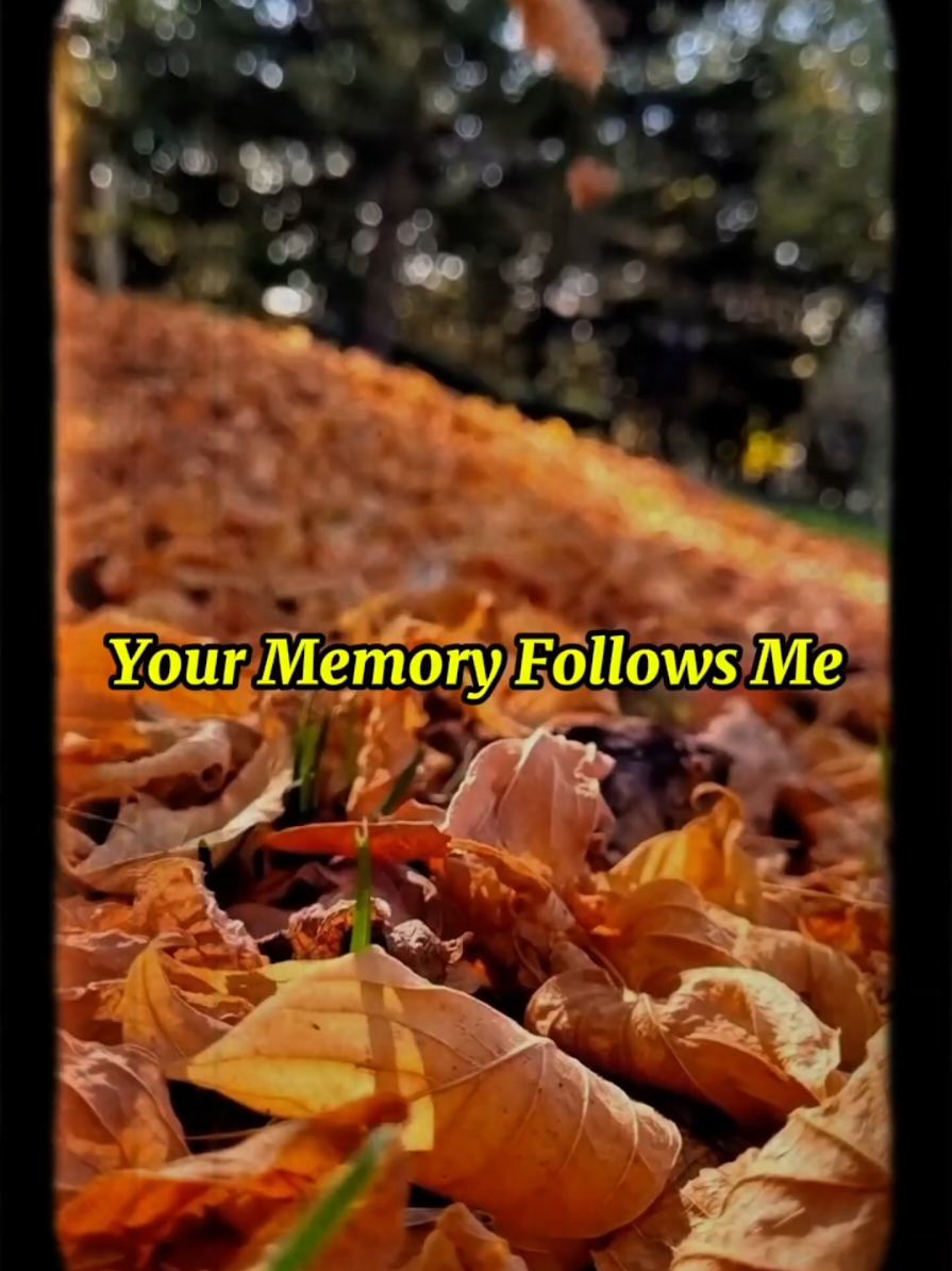#YourMemoryFollowsMe #EverHits -moritabari #EmotionalSongs #RnBSoul #TimelessLove 