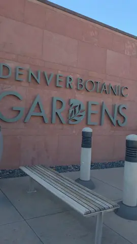 Took a little escape into nature today 🌿 The Denver Botanic Gardens never miss peaceful paths, fall colors, and all the calm vibes I needed. #DenverBotanicGardens  #ExploreColorado  #TravelReel  #SoftLifeVibes  #NatureLovers 