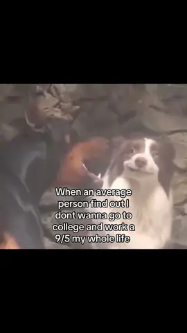 I js have different dreams and purpose in life damn😭😂 #realatable #trader #daytrading #tradingmemes #fyp 