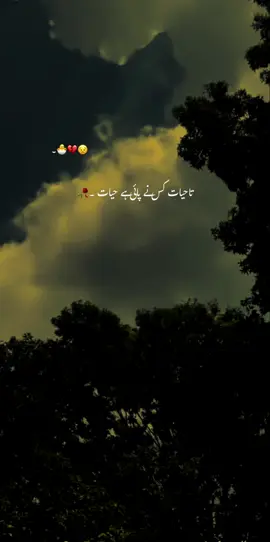 اپنے حصے کے گزاریں گے اور چلے جائیں گے💔🥺🫴🏻 #hehe_afridy #foryou #grow #viral #fpyシ 