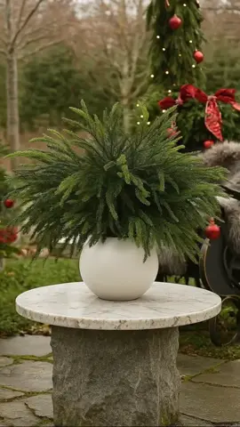 #dealsforyoudays #trending #viral #decor 