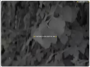 ہمیں نئی آتا جگہ جگہ منہ مارنا ❤️‍🩹🥺#foryou #foryoupage #burhan_tv #fyp #ladiwrites 