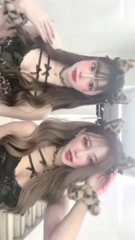 #大阪 #19 #fyp #ハロウィン #彪猫 