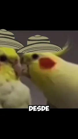 Cálculo, calculo, cálculo