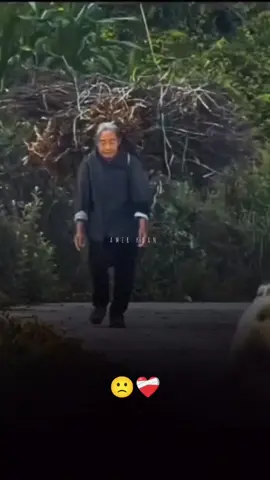 Dog 🙁❤️‍🩹 #🥺 