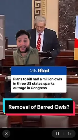Let’s talk about the removal of barred owls to protect spotted owls #fyp #wildlifebiology #spottedowl #barredowl #wildlifemanagment 