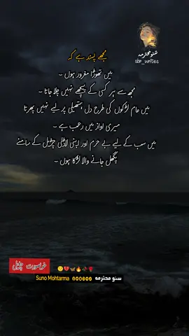 لو یو چڑیل #viwesproblem #foryoupageofficial #شفیق_بن_رفیق #sbr_writes #viewsproblem 