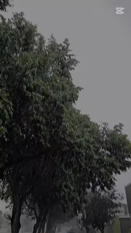 فتوكل على الله  . . . . . . . #tiktokindia #viral #قران #محمد_صديق_المنشاوي 