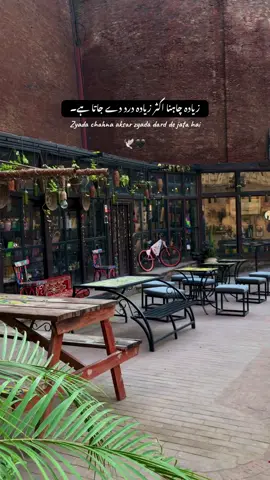 ❤️‍🩹🕊️ #fyp #unfreezemyacount #deeplinespoetry🥀 #urdushayari #aestheticvideos 