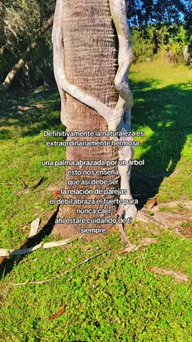 Nos enseña cómo debemos vivir es impresionante #amor #puro #x100pre #naturaleza #paratipage 