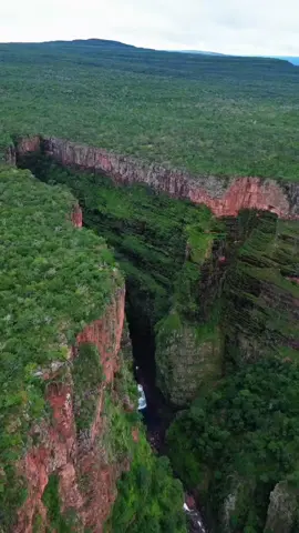 A Beleza Surreal da Natureza em 4K: Floresta e Queda d'Água de Outro Mundo #Natureza #Natureza #nature #travel #paisagem 