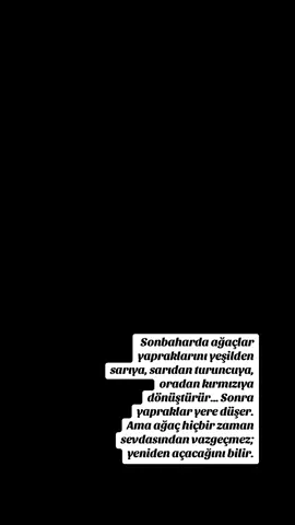 “Sadece bedenim değil, kalbim de dinlenmek istiyor artık.”