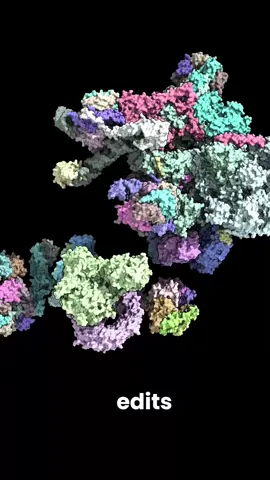 #splicing #STEMTok #dna #rna #exon 