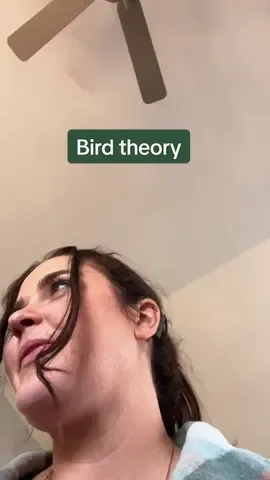 My son passed the bird theory with flying colors… my husband on the other hand… #birdtheory 