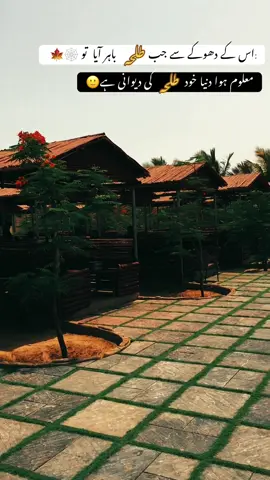 جھوٹی تو تھی یار مگر  یقین اچھا دلاتی تھی 🍁🥀 “ • “ • #urdupoetry #reels #fyp #viral #100kviews 