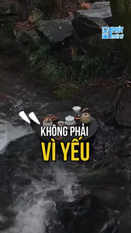 Đôi khi, cách yêu thương bản thân tốt nhất  là biết khi nào nên dừng lại. 🌿  #1PhutTrietLy #TuTrong #SucManhNoiTam #tinhthucmoingay 