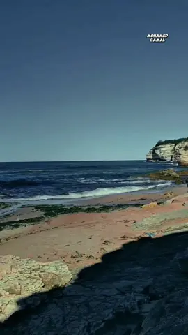 اللهم دبر لنا أمورنا واصرف عنا ما يؤذينا واجعل القادم أجمل مما نتمنى 🤍✨ #اللهم_امين #ذكر_الله #دعاء  #يارب  #اسلاميات 